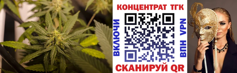 ТГК концентрат  Надым 
